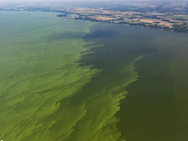 Mặc dù dễ phát hiện từ mặt hồ hoặc có thể nhìn thấy từ trên cao, nhưng những con tàu bị đắm này cũng phải chịu tác động xói mòn mạnh hơn từ những cơn sóng lớn và nhiệt độ nước ấm.