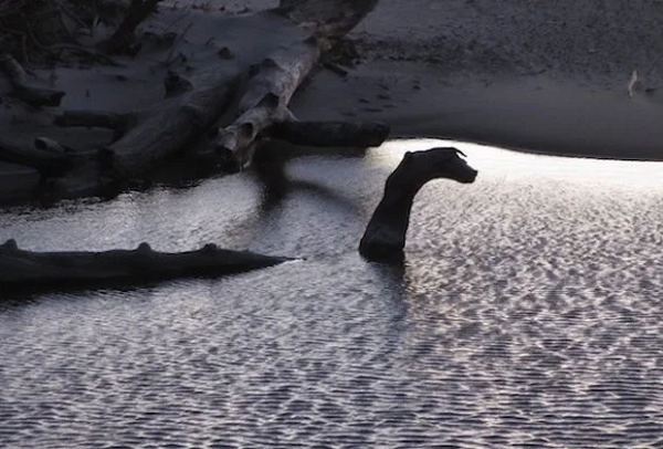 Tuy nhiên danh sách này liên tục được bổ sung thêm khi các nhà thám hiểm dưới nước tiến hành công cuộc tìm kiếm trên không và dưới nước từ cả hai phía của biên giới Mỹ - Canada.