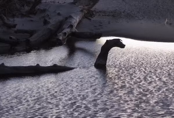 Tuy nhiên danh sách này liên tục được bổ sung thêm khi các nhà thám hiểm dưới nước tiến hành công cuộc tìm kiếm trên không và dưới nước từ cả hai phía của biên giới Mỹ - Canada.