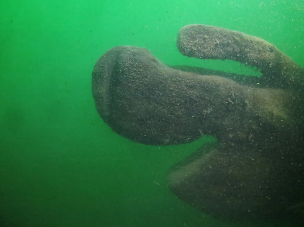 Hồ Erie lần đầu tiên trở thành một tuyến đường giao thông quan trọng ở Bắc Mỹ vào thế kỷ 18. Hồ nước này bao phủ khu vực từ phía tây New York tới phía bắc của bang Ohio và phía nam bang Michigan, nước Mỹ. Điều này có nghĩa là nó cung cấp lộ trình đường thủy nội địa nhanh chóng cho những thương gia và nhà thám hiểm.