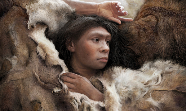 Tuy nhiên, vì một lý do bí ẩn nào đó, họ dường như không chịu được những thay đổi khắc nghiệt lẫn địa cầu và cả của tổ tiên chúng ta, nên tuyệt chủng khoảng 30.000 năm trước.