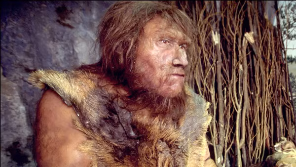 Nghiên cứu mới này phần nào lí giải được lí do vì sao người Neanderthals phải thua Homo sapiens trong quá trình tiến hoá.