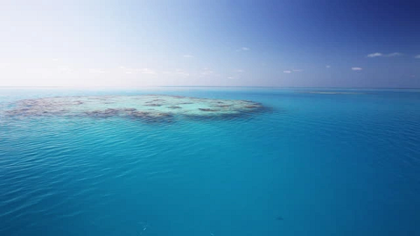 Với dòng hải lưu ở các phía, không giống Bắc Đại Tây Dương lạnh lẽo, khu vực này ấm áp lạ thường do điều kiện thời tiết ổn định và những cơn gió lặng. Ngoài ra, tại đây, bạn có thể chiêm ngưỡng cảnh tượng rong biển dày đặc, tạo thành tấm thảm trên bề mặt bao phủ vùng nước rộng lớn.