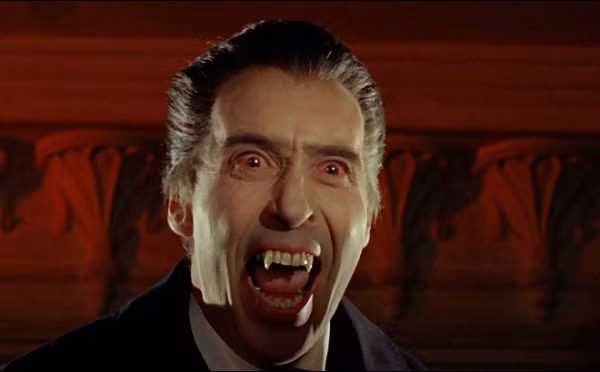 Chuyên gia cho rằng hòn đá trên miệng là để chống "ma cà rồng" cắn người, còn chiếc cọc gỗ để nó không thể tháo chạy từ quan tài.