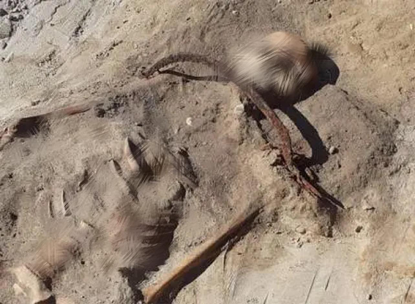 Người phụ nữ trong ngôi mộ cổ được chôn cất với một chiếc lưỡi liềm đặt trên cổ và một ổ khóa gắn vào ngón chân ở bàn chân trái.