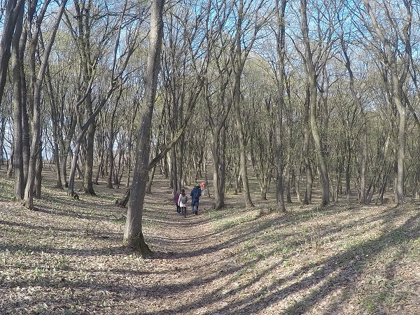 Những du khách ghé thăm khu rừng đã miêu tả lại cảm giác căng thẳng tột độ. Ngoài ra, một số người từng mạo hiểm tiến vào vùng rừng bí ẩn bên trong đã xuất hiện các vết mề đay, vết xước, vết bỏng khó hiểu, cùng các triệu chứng khác như đau nửa đầu, buồn nôn, nôn mửa, và ngay cả lạc mất thời gian.