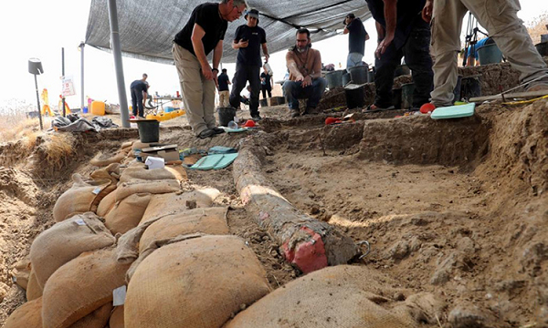 Theo nhóm nghiên cứu dẫn đầu bởi Cơ quan Cổ vật Israel (IAA) và Đại học Tel Aviv - Israel, những siêu quái vật này đã định cư trong khu vực khoảng 800.000 năm trước rồi bất ngờ tuyệt chủng vào 400.000 năm trước.