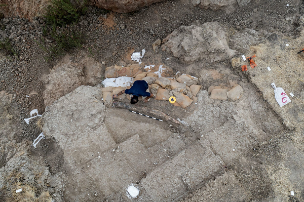 “Từ các cuộc khai quật khảo cổ học trước đây của chúng tôi tại Revadim, chúng tôi biết rằng địa điểm này đã được con người định cư trong thời kỳ đồ đá cũ, vì các công cụ bằng đá và đá lửa, cũng như xương động vật, hài cốt - bao gồm cả voi - đã được tìm thấy tại khu vực này, có niên đại cách đây nửa triệu năm”, nhà khảo cổ học IAA, Tiến sĩ Avi Levy cho biết.