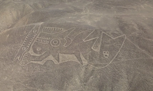 Các nhà khoa học đã phát hiện trên sa mạc khô cằn rộng khoảng 500 km2 giữa hai thị trấn Nazca và Palpa ở Peru có tới hơn 300 bức vẽ hình các con vật như chim ruồi, khỉ, nhện, thằn lằn, mê trận, người hoặc những dạng hình học kỳ lạ khác. Những hình vẽ này có niên đại 1.000 năm trước công nguyên hoặc lâu hơn.