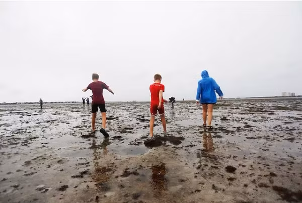 Tuy nhiên, chỉ vài giờ trước khi cơn bão Ian đổ bộ Florida, nước ở các bờ biển đã bị hút đi. Những đợt sóng vỗ và bãi biển nông nhanh chóng bị thay thế bằng đáy biển đầy cát cằn cỗi, để lộ ra những mảnh vỏ sò trắng và rong biển nằm rải rác.