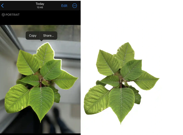 Giờ đây, với iOS 16 người dùng còn có thể chạm và nâng chủ thể tiền cảnh như người hoặc chó ra khỏi hậu cảnh và thêm "ảnh cắt" vào các ứng dụng khác để chia sẻ hoặc tạo ảnh ghép. Tuy nhiên, tính năng này chỉ hỗ trợ iPhone XS trở lên.