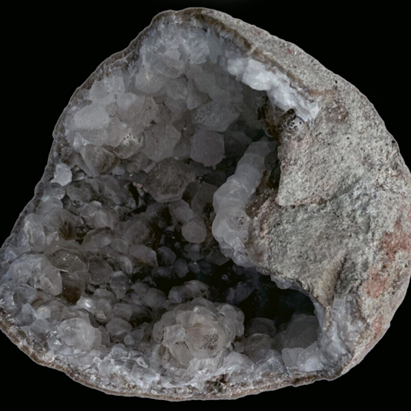 Shixingoolithus vốn là một dòng họ "khủng long ma" nổi tiếng ở Trung Quốc: Không có bất kỳ bộ xương hóa thạch nào từng đại diện nhưng trứng lại "rơi rớt" khắp nơi.