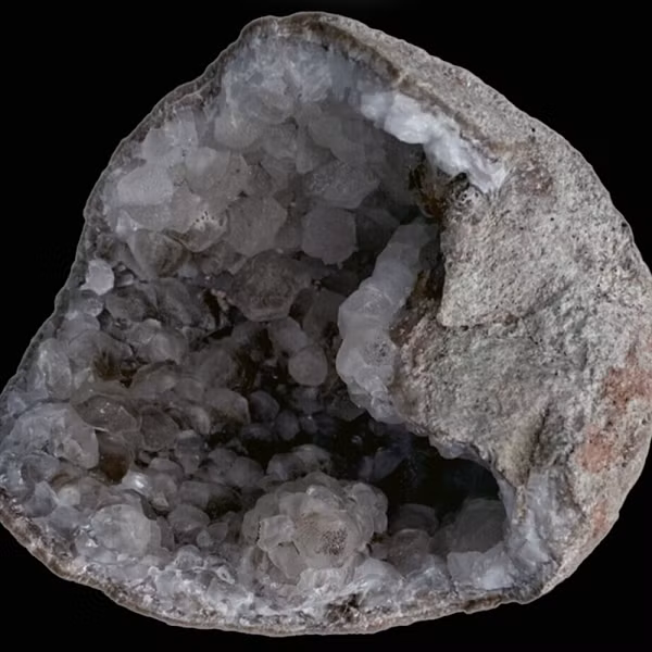 Shixingoolithus vốn là một dòng họ "khủng long ma" nổi tiếng ở Trung Quốc: Không có bất kỳ bộ xương hóa thạch nào từng đại diện nhưng trứng lại "rơi rớt" khắp nơi.