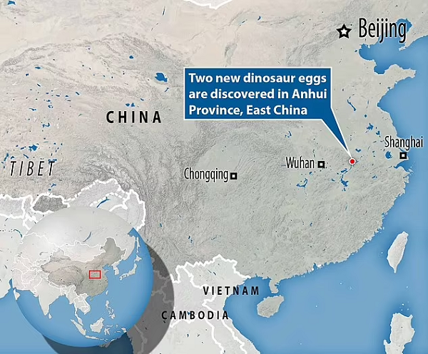 Nhóm khoa học gia từ Trường Kỹ thuật tài nguyên và môi trường thuộc Trường ĐH An Huy, các phòng thí nghiệm trọng điểm ở Viện Địa chất và cổ sinh Nam Kinh và Viện Cổ sinh vật học và cổ sinh vật có xương sống cùng thuộc Học viện Khoa học Trung Quốc đã tiến hành nghiên cứu các mẫu vật.