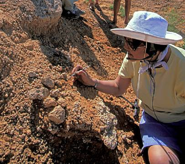 Hai quả trứng "khủng long ma" Shixingoolithus được bọc bằng đá vôi nên chứa tinh thể canxit.