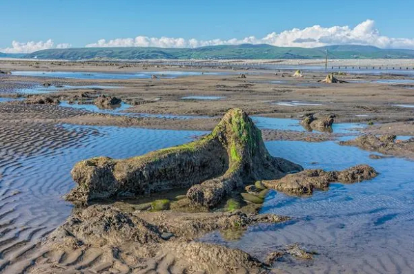 Tương truyền, chuông nhà thờ của vương quốc chìm vẫn có thể được nghe thấy vào những buổi tối yên tĩnh. Nghiên cứu này là công trình đầu tiên điều tra đầy đủ hai hòn đảo bí ẩn xuất hiện trên Bản đồ Gough, được cho là có niên đại từ thế kỷ 13 hoặc 14, trở thành bản đồ lâu đời nhất còn sót lại của Quần đảo Anh.
