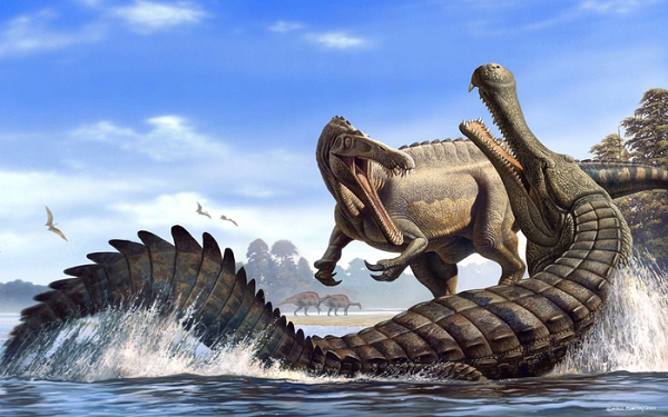 Sarcosuchus là một loài săn mồi hết sức khủng khiếp và to lớn, chúng có một cái đầu to và cái mõm tương đối mảnh mai chiếm 75% tổng chiều dài của hộp sọ, hình dáng hộp sọ của chúng tương đối giống với loài cá sấu Ấn Độ ngày nay. Có một phần nhô ra (gọi là Bulla) ở đầu trước mõm của cá sấu Sarcosuchus.