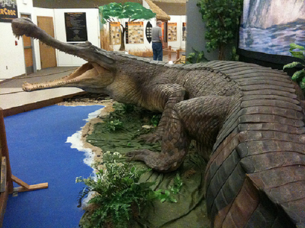 Tiến sĩ Sereno bắt đầu tái tạo thế giới đã biến mất và đưa những con cá sấu thời tiền sử này trở lại cuộc sống bằng cách sử dụng sức mạnh của công nghệ tiên tiến.