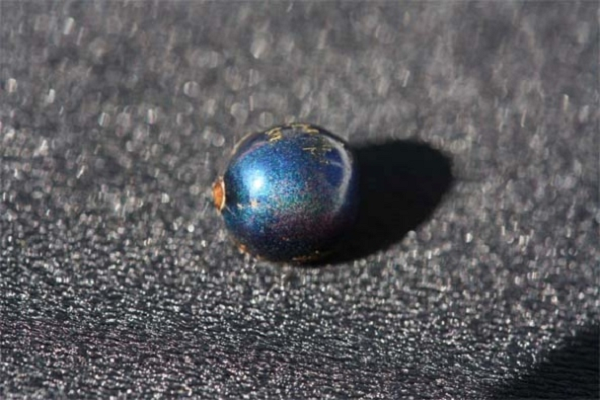 Một số loài thực vật cũng có màu sắc cấu trúc, nhưng quả pollia lại là loại ấn tượng nhất trong thế giới thực vật. Khi phân tích quả mọng bằng đá cẩm thạch dưới kính hiển vi, các nhà khoa học phát hiện ra rằng lớp ngoài của quả bao gồm ba đến bốn lớp tế bào có thành dày, lần lượt chứa nhiều lớp làm bằng sợi xenlulo sắp xếp theo hình xoắn ốc.