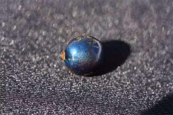 Một số loài thực vật cũng có màu sắc cấu trúc, nhưng quả pollia lại là loại ấn tượng nhất trong thế giới thực vật. Khi phân tích quả mọng bằng đá cẩm thạch dưới kính hiển vi, các nhà khoa học phát hiện ra rằng lớp ngoài của quả bao gồm ba đến bốn lớp tế bào có thành dày, lần lượt chứa nhiều lớp làm bằng sợi xenlulo sắp xếp theo hình xoắn ốc.