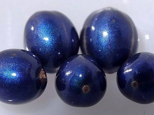 Quá trình giao thoa mang tính xây dựng này tạo ra màu sắc mạnh nhất của bất kỳ sinh vật sống nào. Tổng hệ số phản xạ bằng khoảng 30% của gương kính tráng bạc, và là cao nhất so với bất kỳ vật liệu sinh học nào được biết đến.