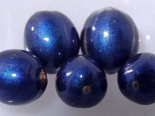 Quá trình giao thoa mang tính xây dựng này tạo ra màu sắc mạnh nhất của bất kỳ sinh vật sống nào. Tổng hệ số phản xạ bằng khoảng 30% của gương kính tráng bạc, và là cao nhất so với bất kỳ vật liệu sinh học nào được biết đến.