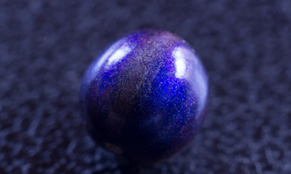 Hiện tượng thay đổi màu sắc của quả Pollia hấp dẫn các loài chim và thú rứng đến làm tổ trên cây. Tuy nhiên, loại quả này không có giá trị dinh dưỡng.