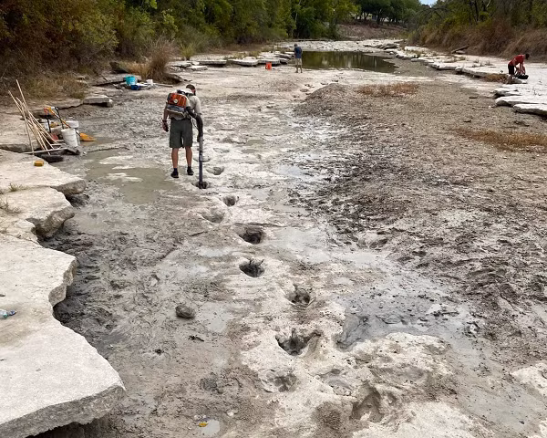 Hầu hết các dấu chân là của khủng long gai sống cao. Chúng nặng gần 7 tấn và cao 4,5 mét khi trưởng thành. Ngoài ra, còn có dấu chân của khủng long thần động đất, là loài vật nặng 44 tấn và cao hơn 18 mét khi trưởng thành.
