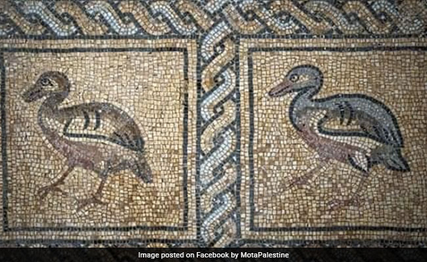 Với niên đại có thể lên tới 1.500 năm, đây càng là một kho báu vô song.