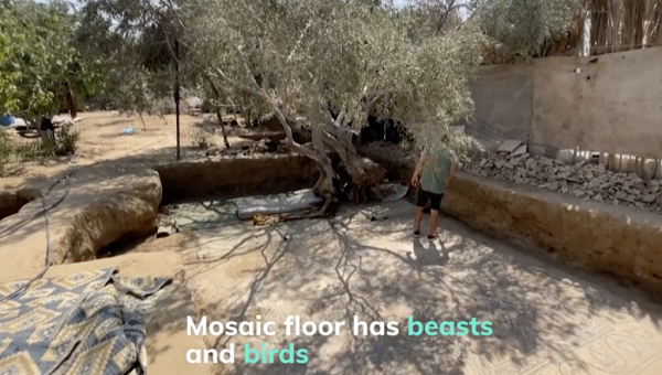 Bộ Du lịch và Cổ vật Palestine cho biết phát hiện này cung cấp rất nhiều thông tin lịch sử và chi tiết về văn minh cổ đại và nhân chủng học ở Gaza, các mối quan hệ lịch sử và kinh tế với môi trường khu vực cổ đại.