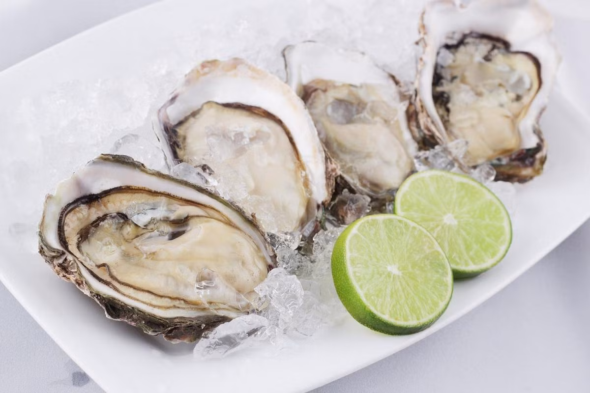 Hàu sống được nhiều người yêu thích nhưng ăn hàu sống là con đường trực tiếp đưa ký sinh trùng vào cơ thể. Ảnh haisanxanh.