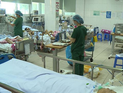 Theo thống kê sơ bộ, hàng năm có hàng trăm ca nhập viện do nhiễm liên cầu khuẩn lợn.