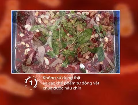 Không nên ăn tiết canh, vì đây cũng chính là nguyên nhân gây mắc liên cầu khuẩn lợn