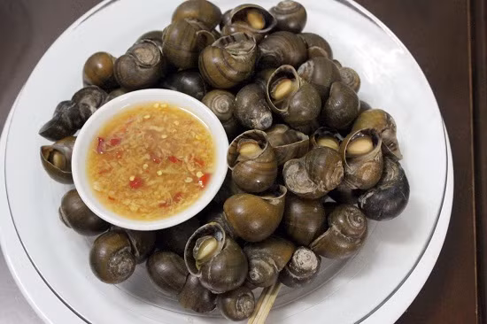 Theo số liệu khoa học, một con ốc có thể chứa tới 3.000 - 6.000 ký sinh trùng giun ống. Ảnh toinayangi.