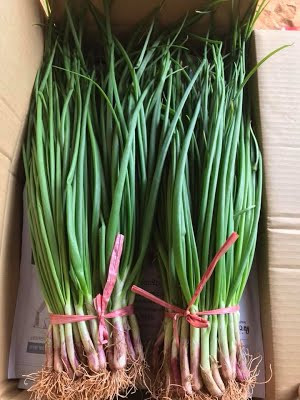 Trong khi đó, chất kaempferol giúp giảm rủi ro liên quan tới ung thư buồng trứng ở phụ nữ ít nhất là 40%. Ảnh xuatxuuc.