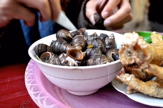 Ốc sống trong các đầm lầy, ao hồ dễ bị ô nhiễm nên có rất nhiều loại ký sinh trùng, phổ biến nhất là ký sinh trùng giun ống. Ảnh toinayangi.