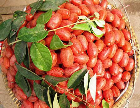 Quả nhót cũng rất hữu ích với những người bị khó thở. Ảnh: baophunu.