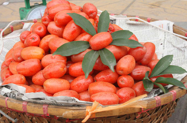 Không những vậy, quả nhót còn được làm thuốc chữa bệnh với rất nhiều tác dụng quý. Ảnh: Suckhoedoisong.