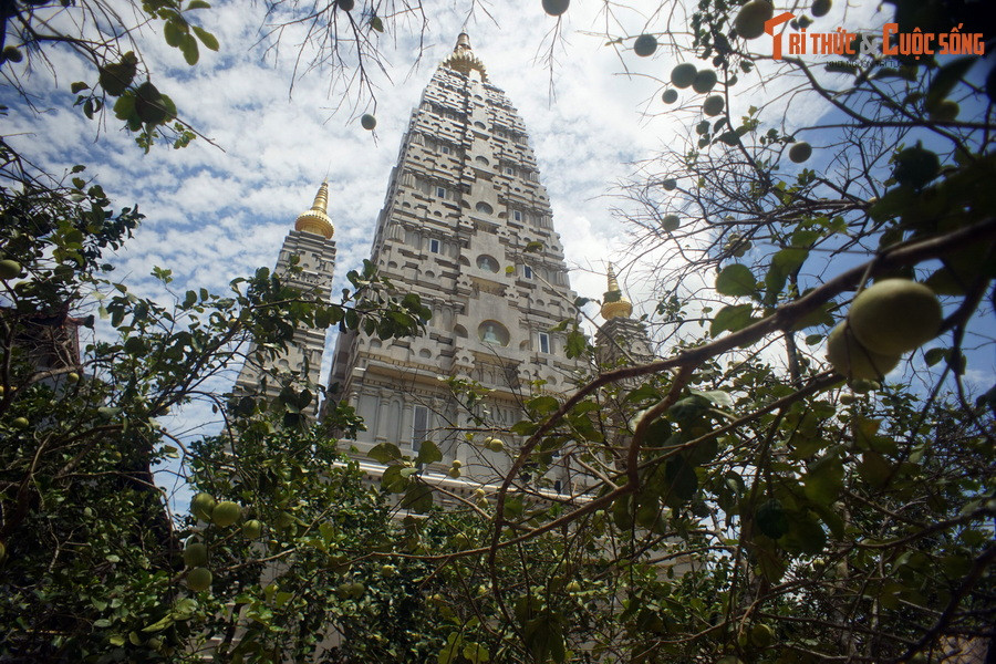 Công trình ấn tượng nhất của chùa là tòa Bảo tháp Đại Giác, được khánh thành năm 2015. Ngôi Bảo tháp này được mô phỏng theo mẫu ngôi đại tháp ở Bồ Đề Đạo Tràng, nơi Đức Phật thành đạo ở Ấn Độ, với kích cỡ thu nhỏ.