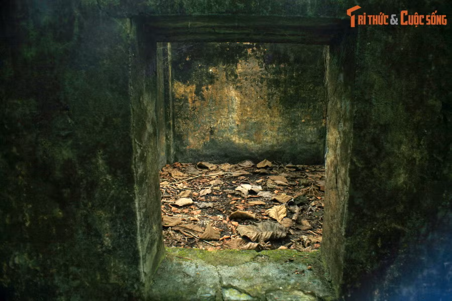 Chúng đã chuyển một số tù nhân chính trị từ Sơn La, Hỏa Lò, Phú Thọ… lên căng Bắc Mê giam giữ. Lúc đông nhất, số lượng tù chính trị bị giam tại đây lên tới gần 300 người.