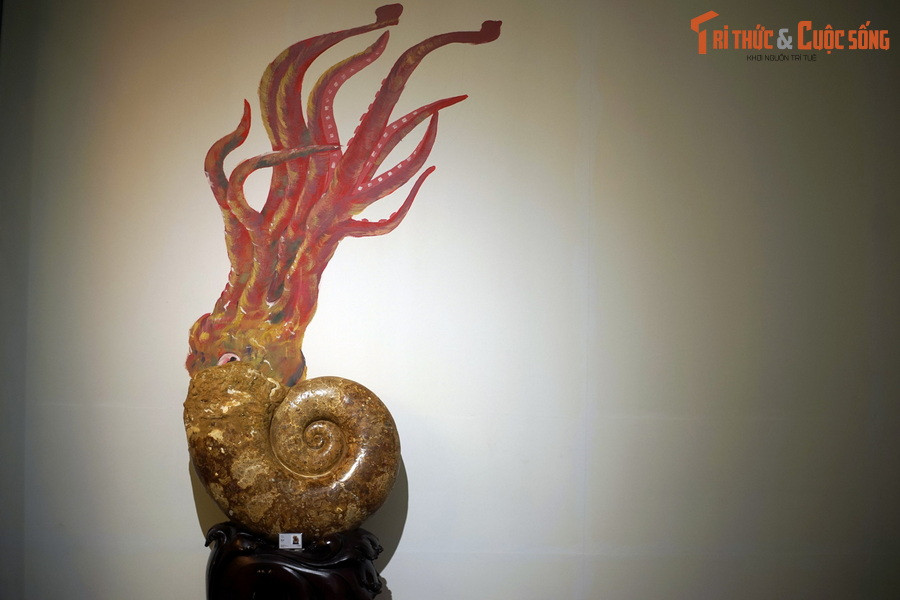 Theo tư liệu của ngành cổ sinh học, Lytoceras là một chi cúc đá tồn tại trong hầu hết kỷ Jura và kỷ Phấn trắng, giai đoạn hoàng kim của các loài khủng long, và là chi điển hình của họ cúc đá Lytoceratidae.