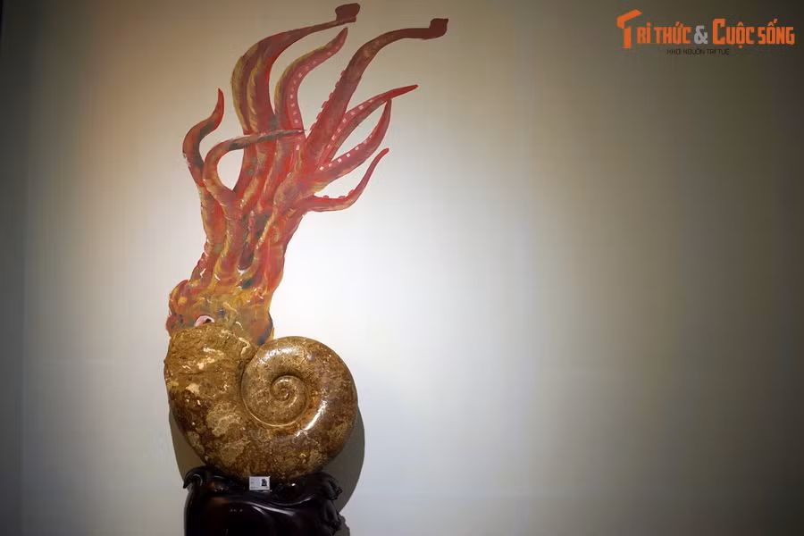 Theo tư liệu của ngành cổ sinh học, Lytoceras là một chi cúc đá tồn tại trong hầu hết kỷ Jura và kỷ Phấn trắng, giai đoạn hoàng kim của các loài khủng long, và là chi điển hình của họ cúc đá Lytoceratidae.