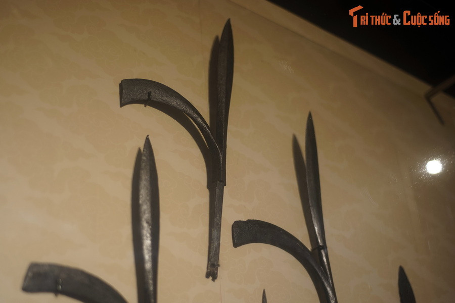 Câu liêm là loại hình vũ khí được ưa chuộng và được trang bị một cách phổ biến trong quân đội thời Lý - Trần - Lê. Khả năng sát thương của câu liêm hơn hẳn các loại vũ khí có cán khác như giáo, mũi trường, vì nó có thể vừa đâm, móc, bổ đối với kẻ địch.