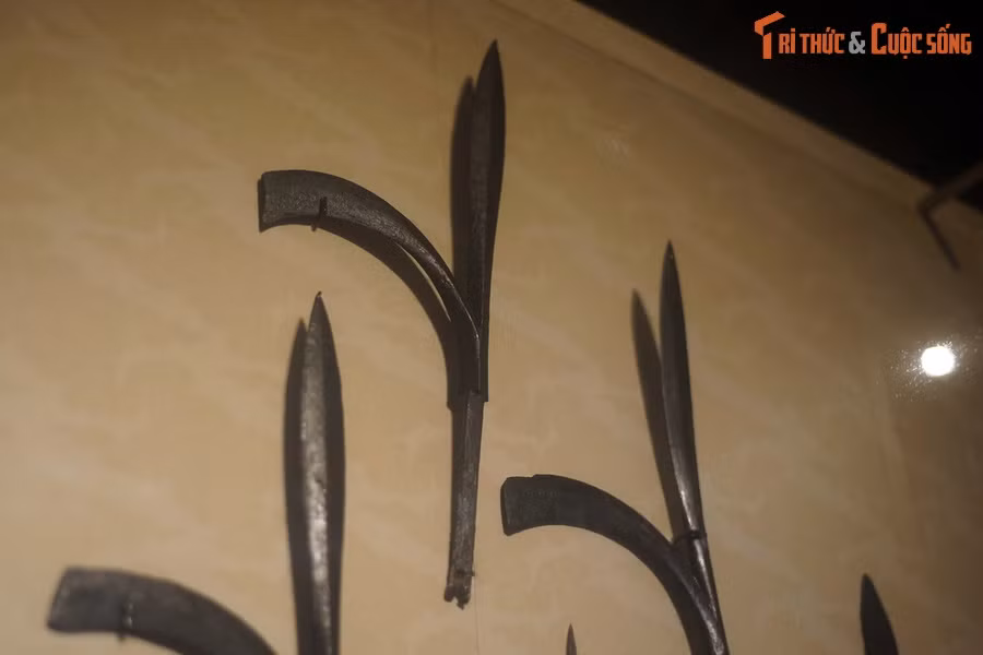 Câu liêm là loại hình vũ khí được ưa chuộng và được trang bị một cách phổ biến trong quân đội thời Lý - Trần - Lê. Khả năng sát thương của câu liêm hơn hẳn các loại vũ khí có cán khác như giáo, mũi trường, vì nó có thể vừa đâm, móc, bổ đối với kẻ địch.