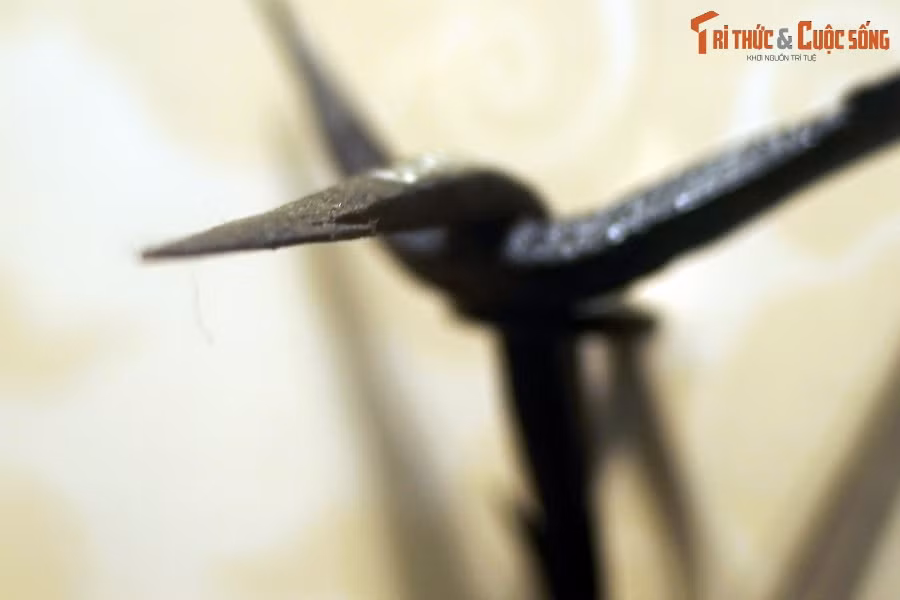 Đặc điểm của loại chông này là rải bất cứ chiều nào cũng có một cạnh hướng thẳng lên trời tạo mũi sát thương. Khi được rắc trên mặt đất sẽ trở thành một thứ vũ khí phòng ngự rất lợi hại.