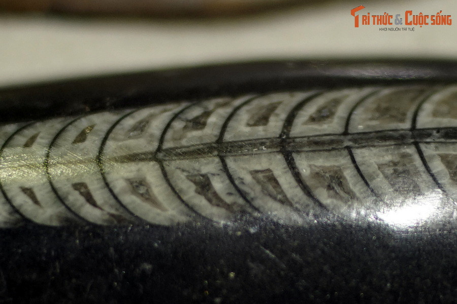 Những mẫu vật này đã được thu thập để chế tác thành đồ trang sức hoặc làm đồ trang trí trong nhà.