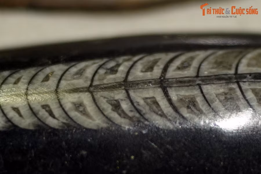 Những mẫu vật này đã được thu thập để chế tác thành đồ trang sức hoặc làm đồ trang trí trong nhà.