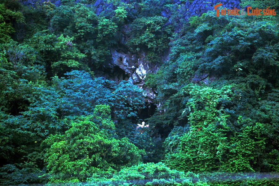 Tương truyền vào khoảng năm 1739, một tiều phu địa phương lên núi đốn củi đã phát hiện hang động và thấy có nhũ đá giống tượng Phật nên lập ban thờ Phật ở đó. Đến năm 1740 thì hình thành chùa.