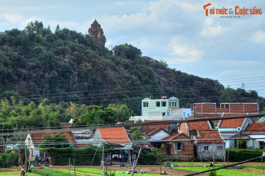  6. Tháp Nhạn. Nằm trên núi Nhạn, một thắng cảnh nổi tiếng của thành phố Tuy Hòa, tỉnh Phú Yên, tháp Nhạn được người Chăm sinh sống ở lưu vực châu thổ sông Ba xây dựng vào khoảng thế kỉ 12.