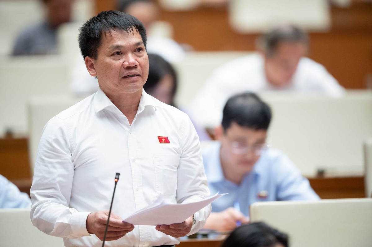 Tra loi cu tri huyen Dak Nong, Bo dan van ban tinh khac